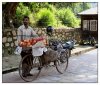 10/kathmandu 2 (Small).jpg